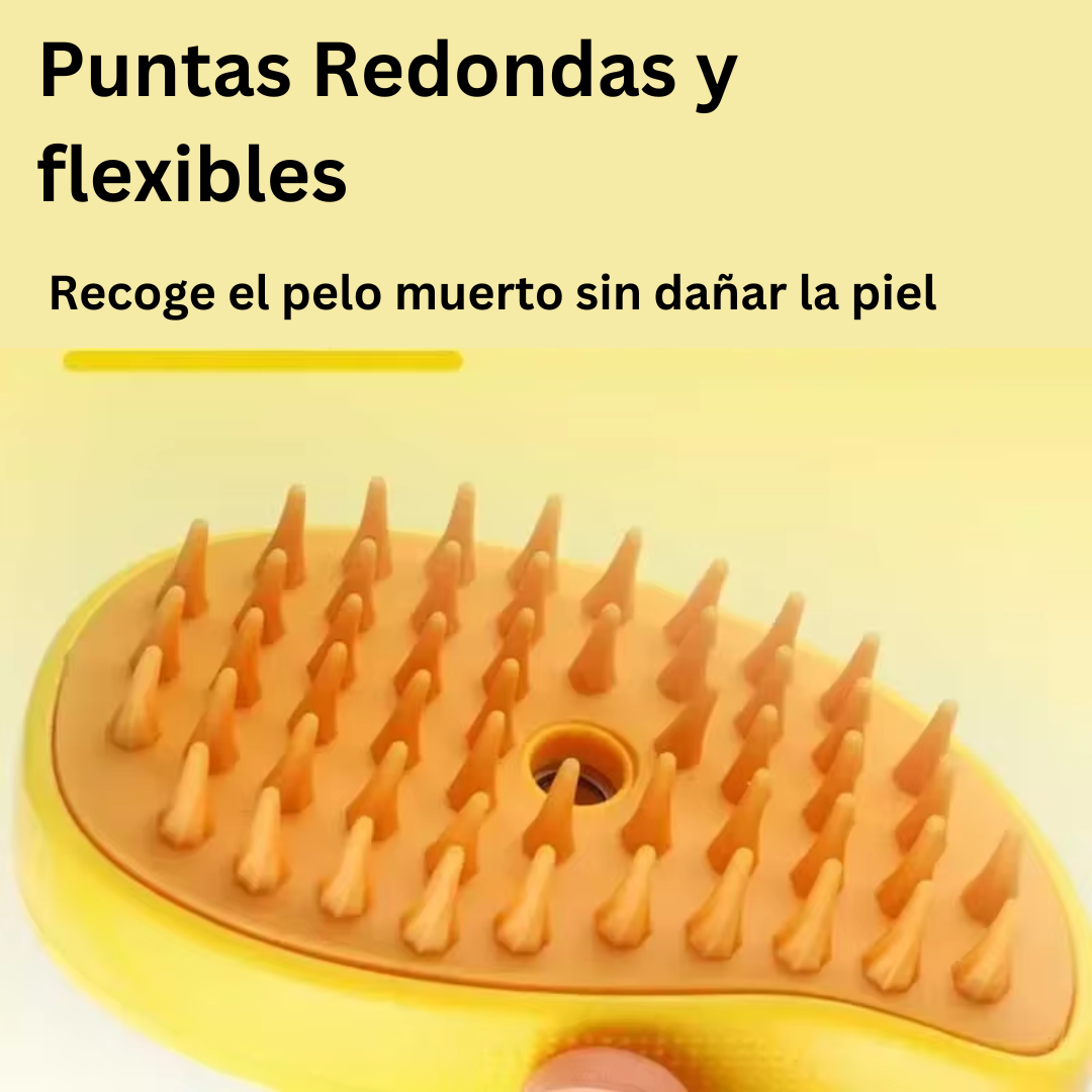 🫧🧼🪮CanineSpa - Una experiencia de spa para tu mejor amigo.🐱🐶