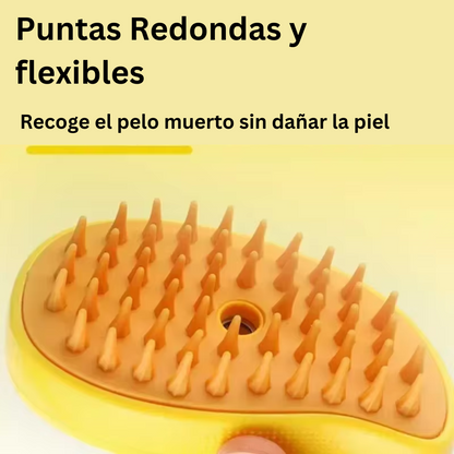 🫧🧼🪮CanineSpa - Una experiencia de spa para tu mejor amigo.🐱🐶