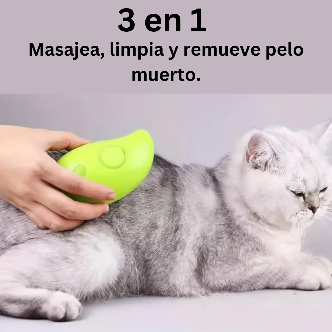 🫧🧼🪮CanineSpa - Una experiencia de spa para tu mejor amigo.🐱🐶