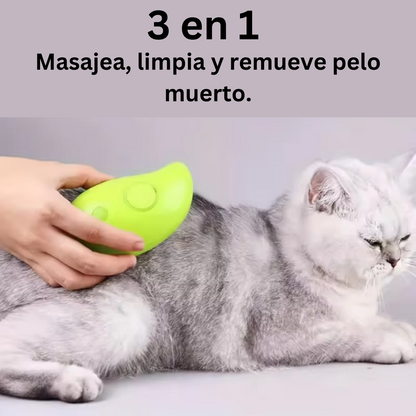 🫧🧼🪮CanineSpa - Una experiencia de spa para tu mejor amigo.🐱🐶