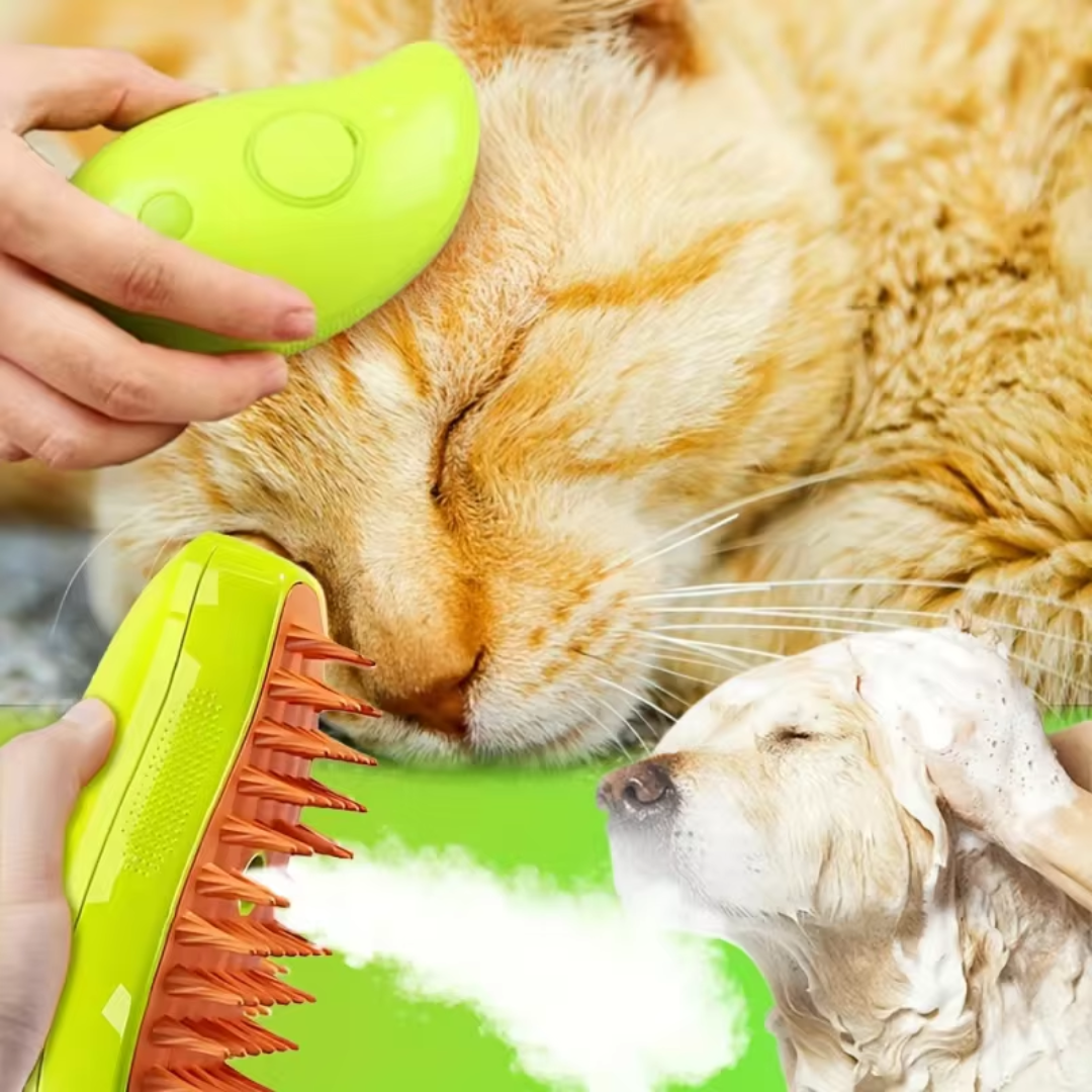 🫧🧼🪮CanineSpa - Una experiencia de spa para tu mejor amigo.🐱🐶